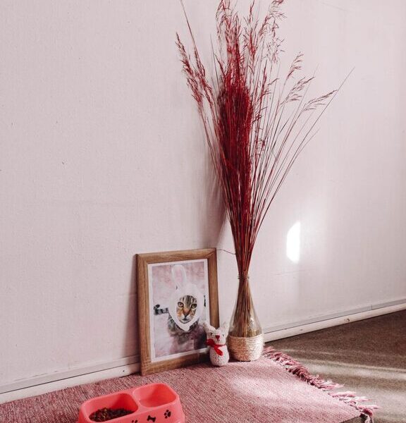 How to Set Up a Cozy and Safe Pet-Friendly Home Corner