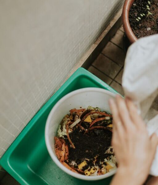 Beginner Tips for Composting at Home: Easy Steps to Get Started
